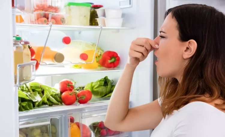 Cómo quitar los malos olores del frigorífico