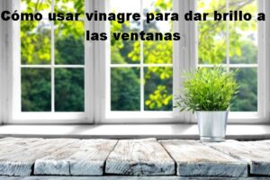 ¿Cómo usar vinagre para dar brillo a las ventanas?