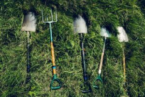 ¿Cuáles son las herramientas de jardinería de moda?