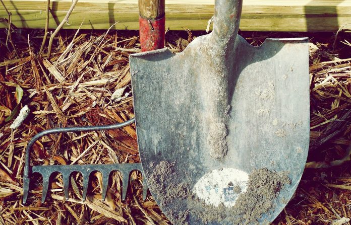Las herramientas esenciales para el jardín