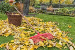 Mantenimiento de jardines: 5 consejos para preparar tu exterior para el invierno