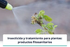 Insecticida y tratamiento para plantas: productos fitosanitarios
