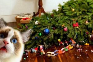 ¿Cómo evitar que tu gato dañe el árbol de Navidad?