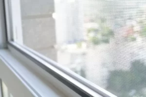 ¿Cómo limpiar una mosquitera de ventana?