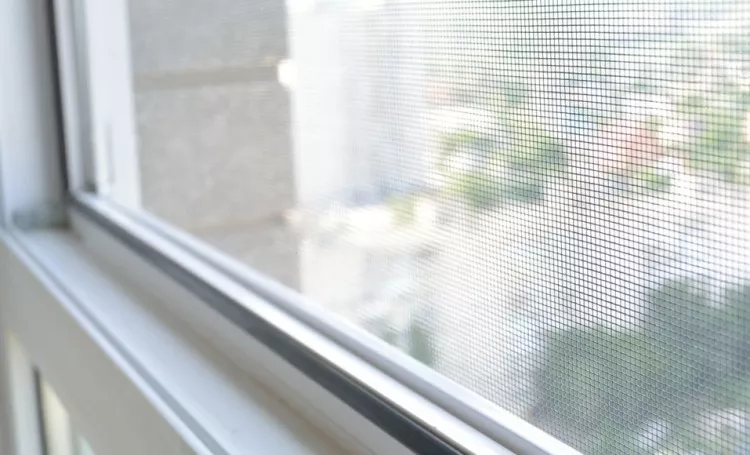 Cómo limpiar una mosquitera de ventana