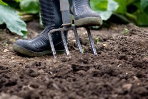 Cómo mejorar el suelo de  tu jardín