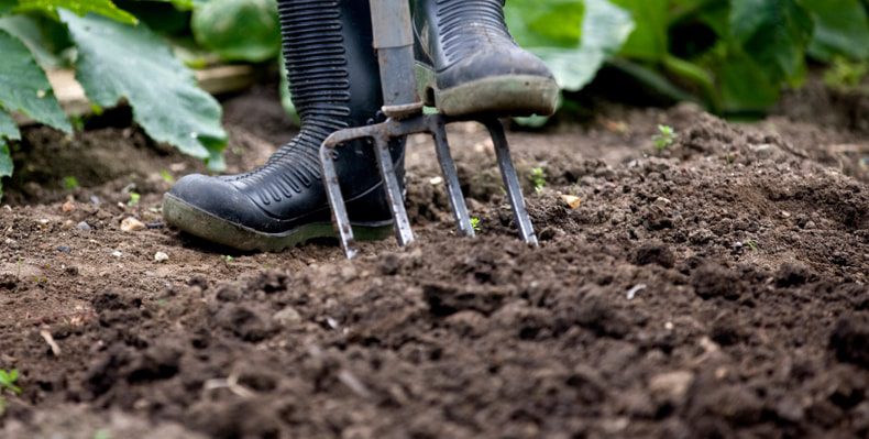 Cómo mejorar el suelo de tu jardín