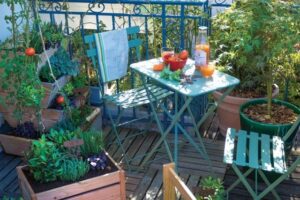 Qué verduras y frutas cultivar en un balcón o terraza