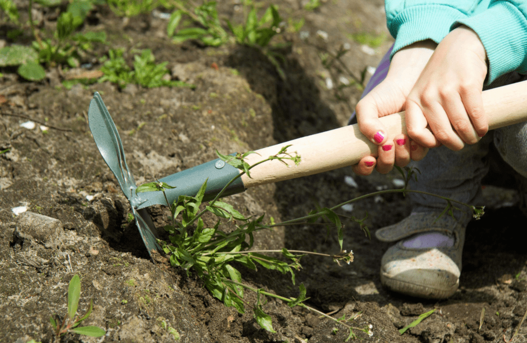 Las 6 mejores formas de desherbar el jardín