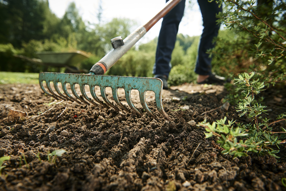 Preparación del suelo para la próxima siembra o plantación