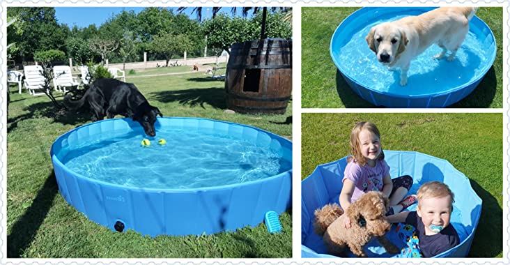 piscinas para perros