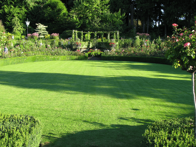 Césped impecable de un jardín inglés - (CMFrango / flickr.com)